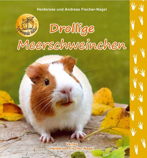 Heiderose Fischer-Nagel: Drollige Meerschweinchen, Buch