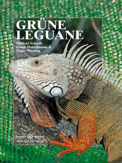 Michael Schardt: Grüne Leguane, Buch