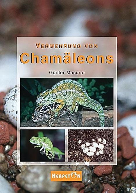 Günter Masurat: Masurat, G: Vermehrung v. Chamäleons, Buch