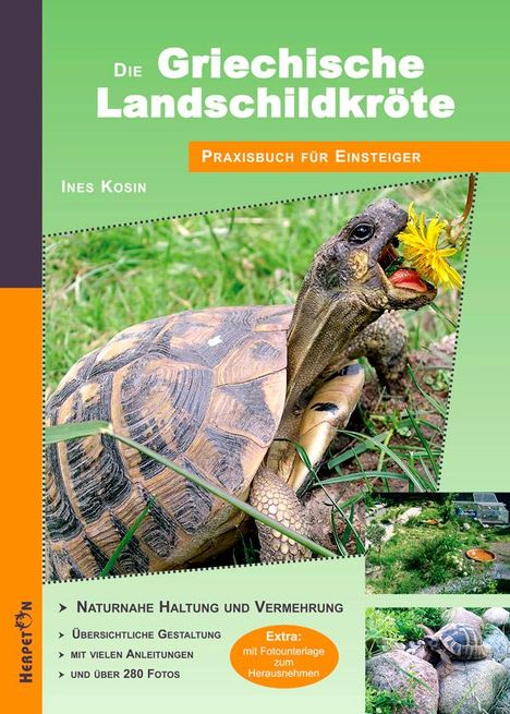 Ines Kosin: Kosin, I: Griechische Landschildkröte, Buch