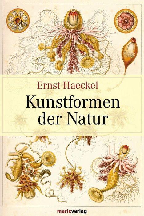 Ernst Haeckel: Haeckel, E: Kunstformen der Natur, Buch