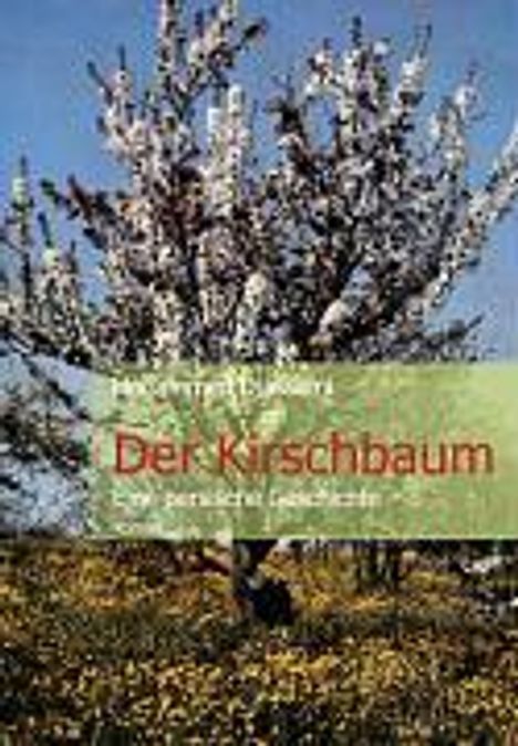 Mohammed Djassemi: Der Kirschbaum, Buch