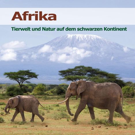 Karl-Heinz Dingler: Afrika - Tierstimmen und Naturgeräusche, CD