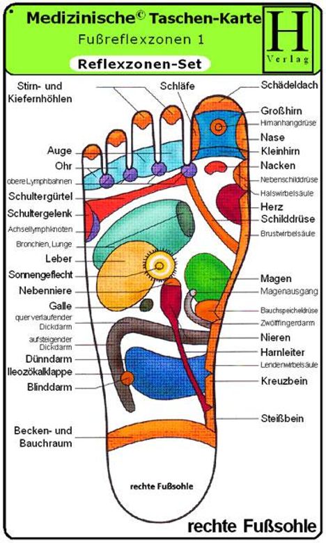 Reflexzonen Set. Medizinische Taschen-Karte, Diverse