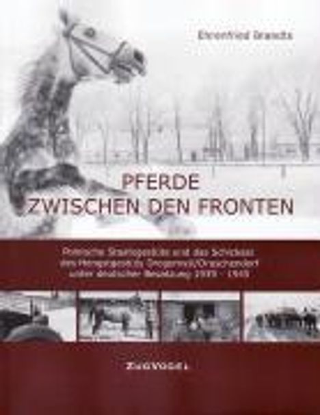Ehrenfried Brandts: Brandts, E: Pferde zwischen den Fronten, Buch