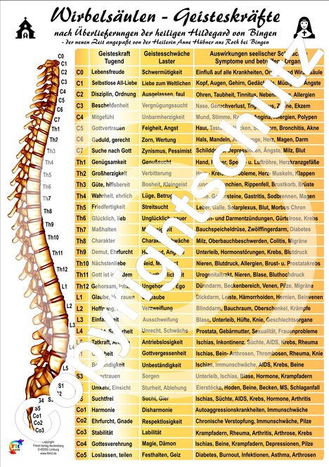 Tanja Aeckersberg: Wirbelsäulen-Geisteskräfte Übersichtskarte DIN A4, Karten