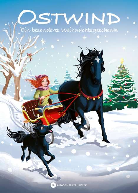 Thilo: Ostwind - Ein besonderes Weihnachtsgeschenk, Buch