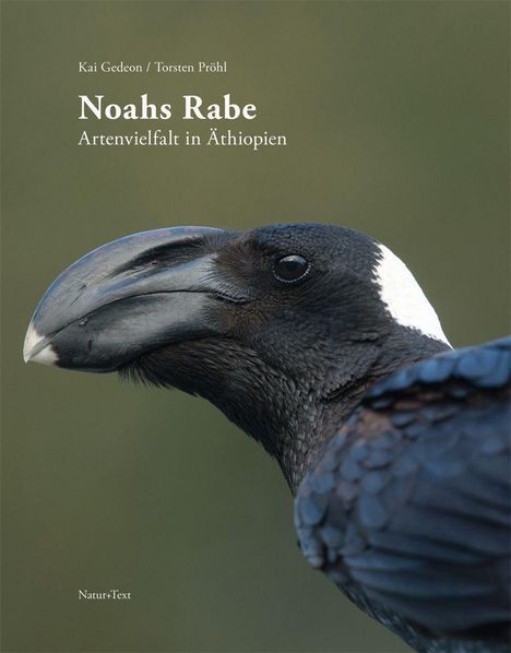 Kai Gedeon: Noahs Rabe, Buch