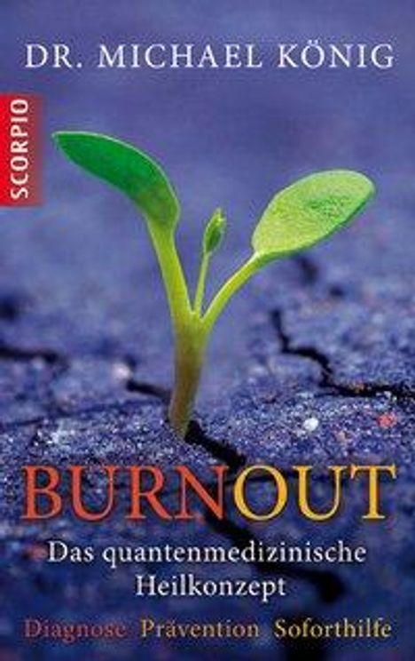 Michael König: König, M: Burnout, Buch