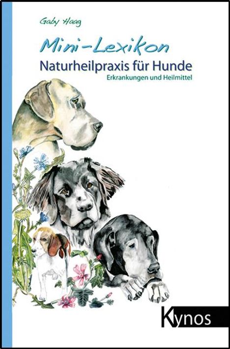 Gaby Haag: Mini-Lexikon Naturheilpraxis für Hunde, Buch