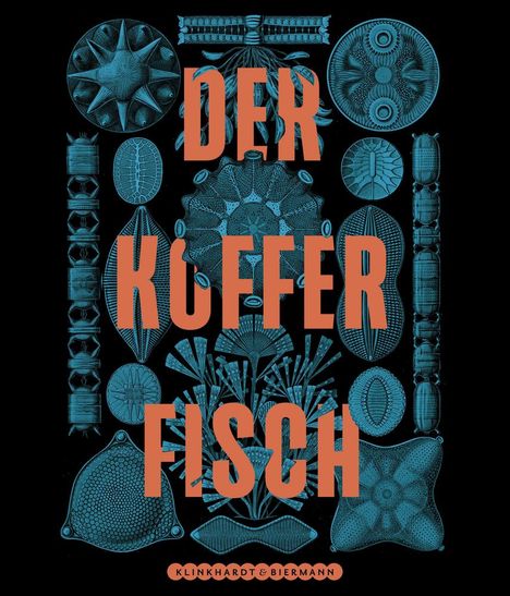 Marion Blomeyer: Der Kofferfisch, Buch
