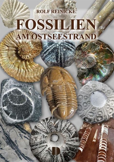 Rolf Reinicke: Fossilien am Ostseestrand, Buch
