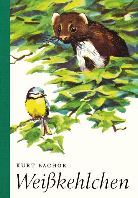 Kurt Bachor, Weißkehlchen. Illustration: Ein Marder blickt durch grüne Blätter, darunter eine kleine, bunte Meise.