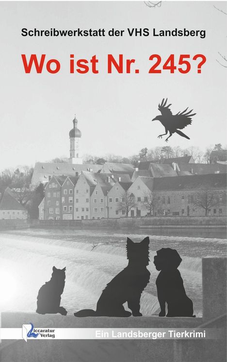 Karin Schweiger: Skorpil, A: Wo ist Nr. 245?, Buch