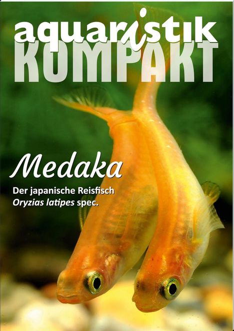 Günther Drütschel: Medaka - aquaristik KOMPAKT, Buch