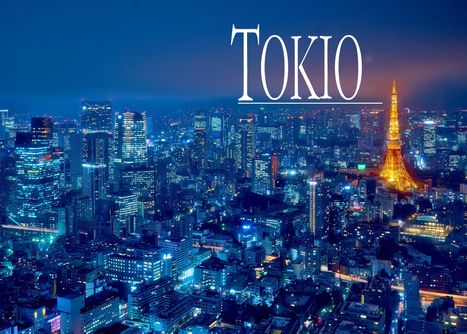 Robert Schmitt: Bildband Tokio, Buch