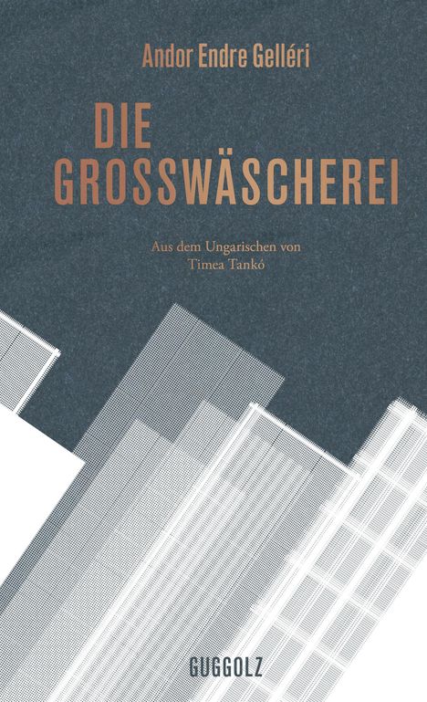 Andor Endre Gelléri: Die Großwäscherei, Buch