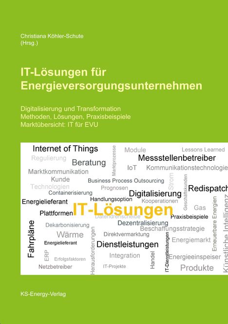 IT-Lösungen für Energieversorgungsunternehmen, Buch