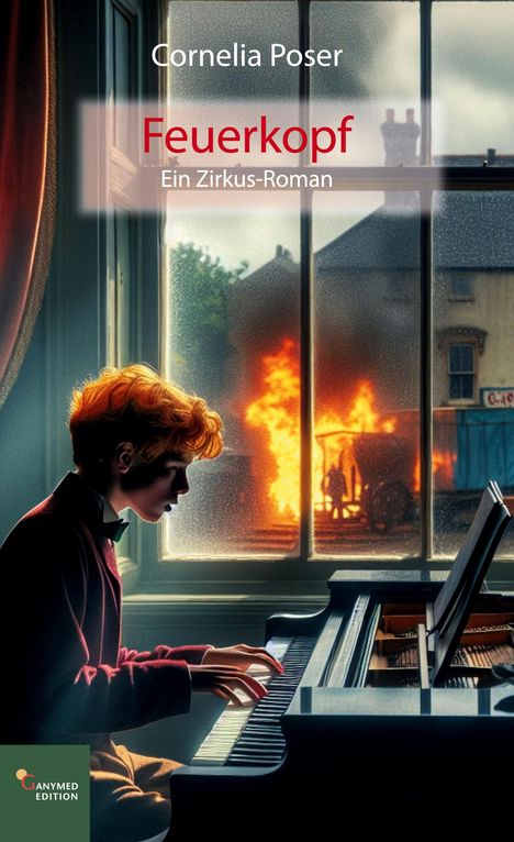 Cornelia Poser: Feuerkopf, Buch