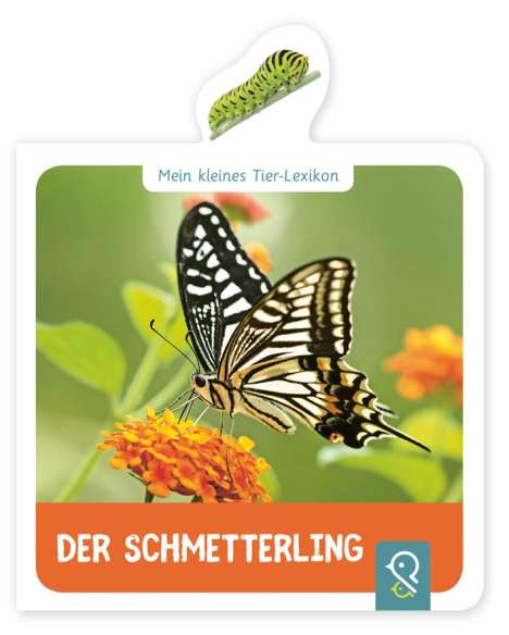 Hannah Kastenhuber: Mein kleines Tier-Lexikon - Der Schmetterling, Buch