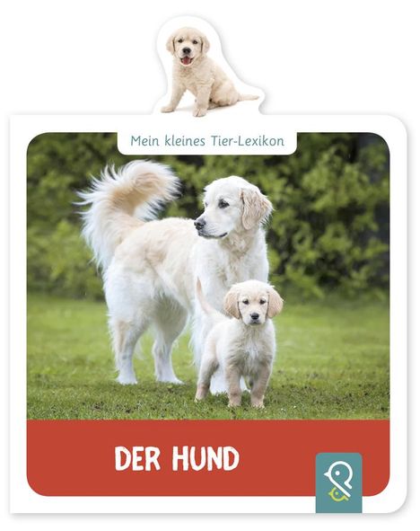 Hannah Kastenhuber: Mein kleines Tier-Lexikon - Der Hund, Buch
