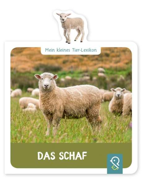 Mein kleines Tier-Lexikon - Das Schaf, Buch
