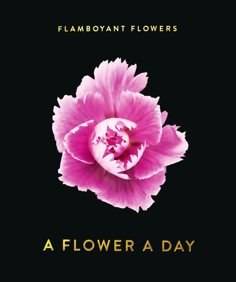Flamboyant Flowers, Kalender