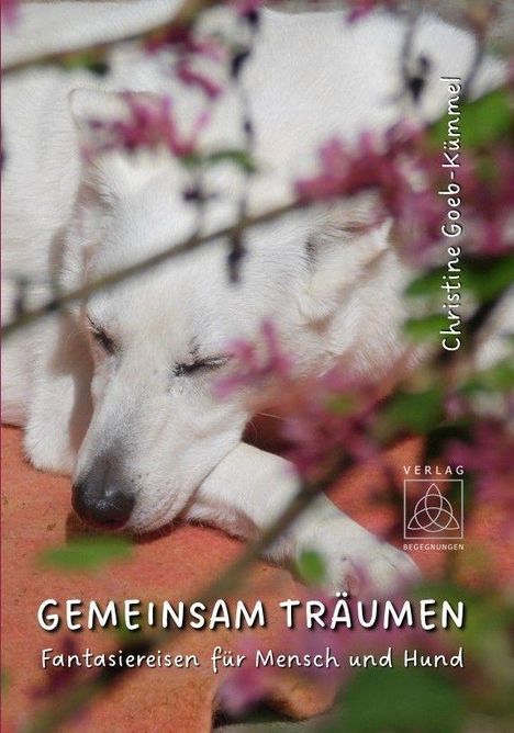 Christine Goeb-Kümmel: Goeb-Kümmel, C: Gemeinsam träumen, Buch