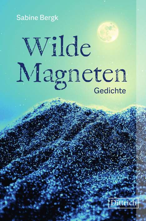 Sabine Bergk: Wilde Magneten, Buch