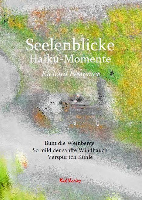 Richard Pestemer: Pestemer, R: Seelenblicke, Buch