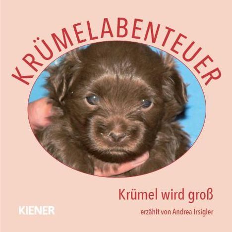 Andrea Irsigler: Krümelabenteuer, Buch