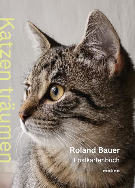 Roland Bauer: Katzen träumen, Diverse