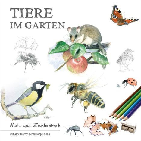 Cover/Produkt Ansicht vergrößern