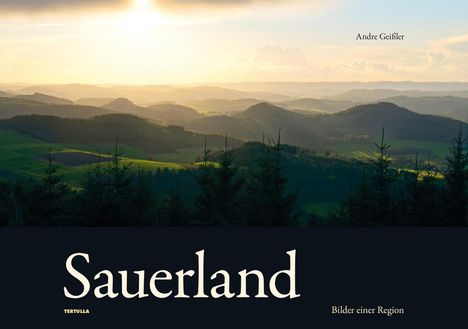 Andre Geißler: Sauerland, Buch