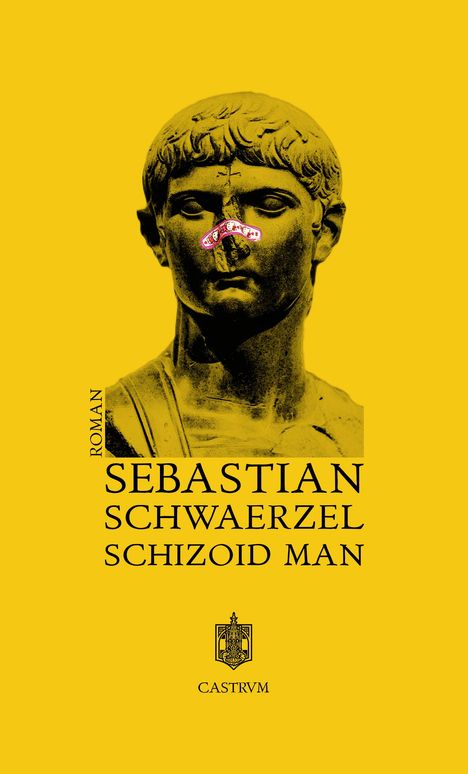 Sebastian Schwaerzel: Schizoid Man, Buch