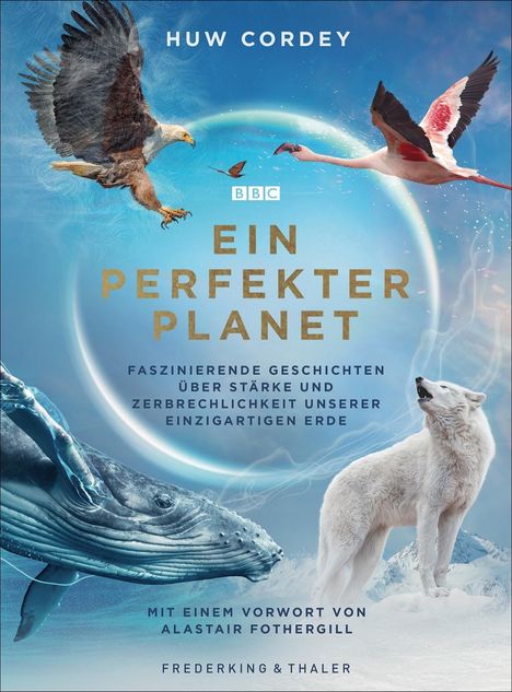 Huw Cordey: Ein perfekter Planet, Buch