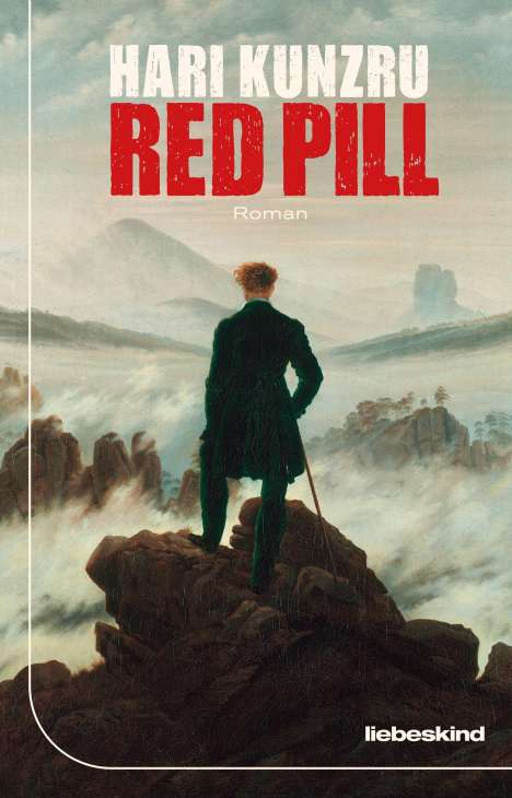 Hari Kunzru: Red Pill, Buch