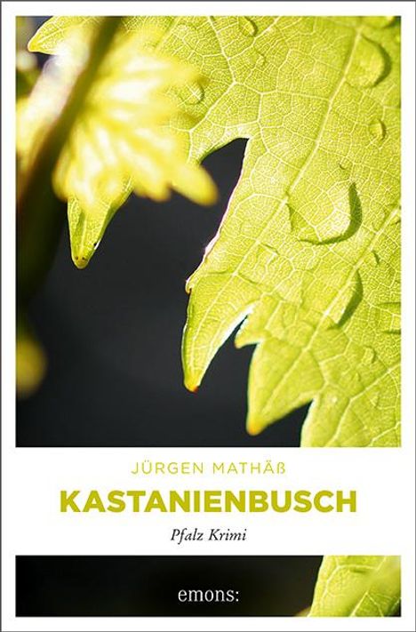 Jürgen Mathäß: Kastanienbusch, Buch