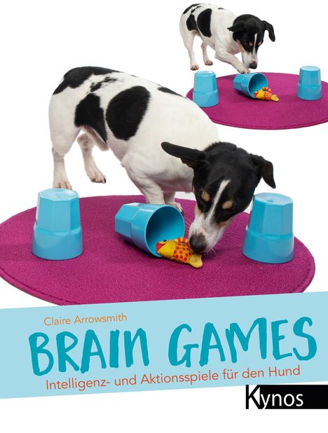 Claire Arrowsmith: Brain Games, Buch