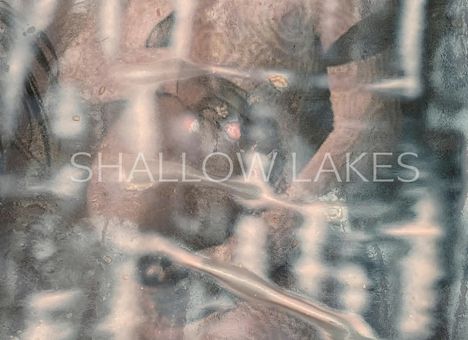 Melike Kara: shallow lakes, Buch