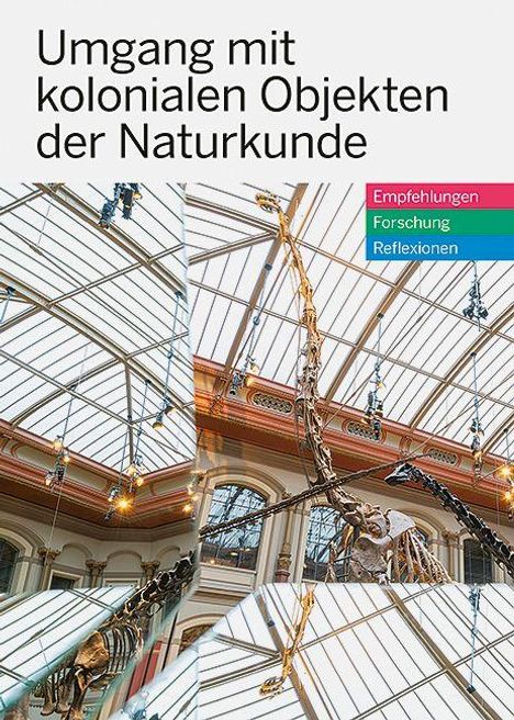 "Umgang mit kolonialen Objekten der Naturkunde" oben, links Dinosaurierskelett in großem, hellen Saal.