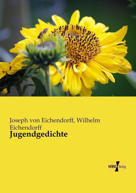 Joseph Von Eichendorff: Jugendgedichte, Buch