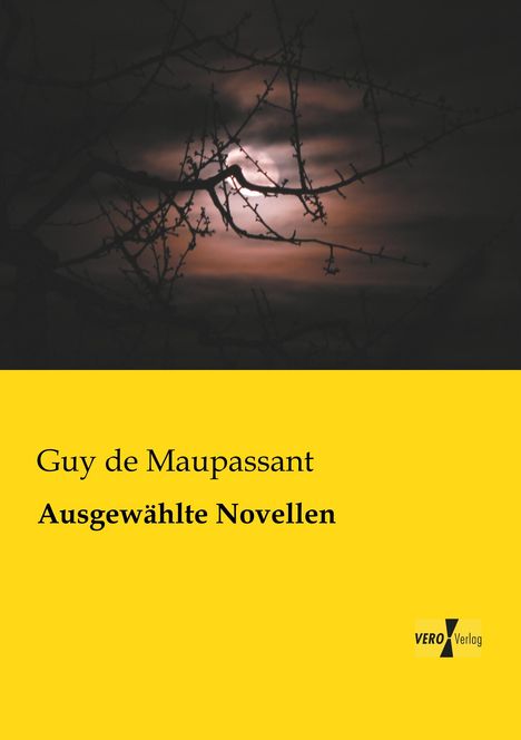 Guy de Maupassant: Ausgewählte Novellen, Buch