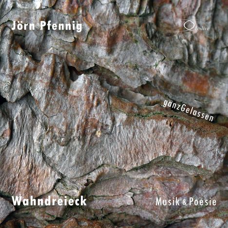 Jörn Pfennig: Pfennig, J: Wahndreieck - Musik &amp; Poesie/2 CDs, CD