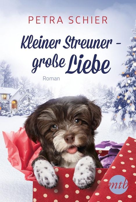 Petra Schier: Kleiner Streuner - große Liebe, Buch