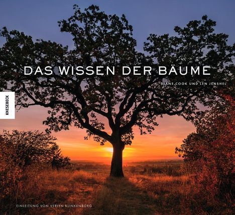 Diane Cook: Das Wissen der Bäume, Buch