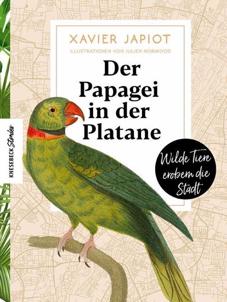 Xavier Japiot: Japiot, X: Papagei in der Platane, Buch