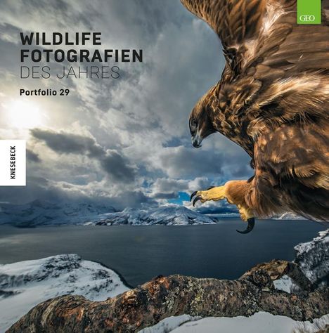 Natural History: Wildlife Fotografien des Jahres - Portfolio 29, Buch