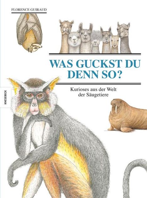 Florence Guiraud: Guiraud, F: Was guckst du denn so?, Buch