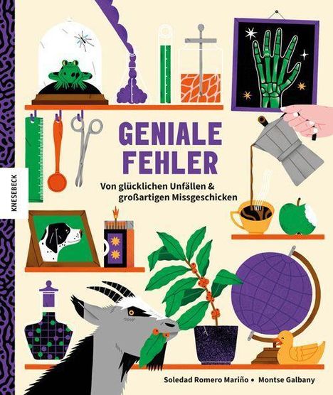Soledad Romero Mariño: Geniale Fehler, Buch